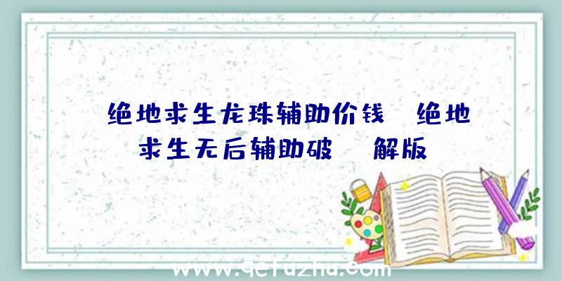 「绝地求生龙珠辅助价钱」|绝地求生无后辅助破解版